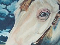 Lightning 8x10